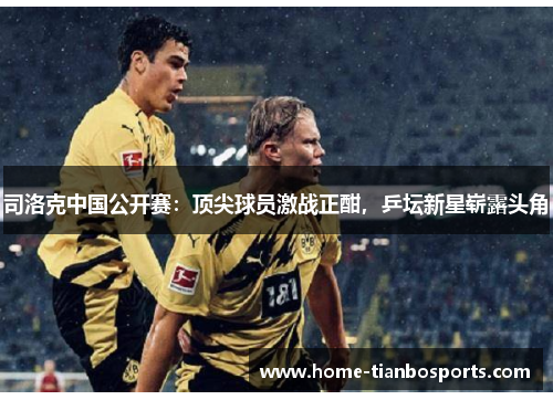 司洛克中国公开赛：顶尖球员激战正酣，乒坛新星崭露头角